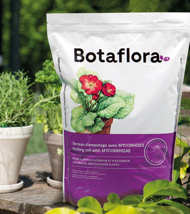 Terreau d'empotage Bota Flora BMR
