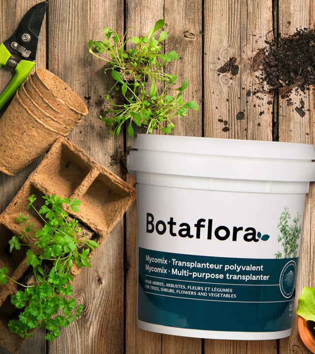 Transplanteur polyvalent Botaflora BMR