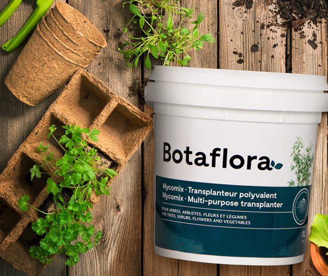 Transplanteur polyvalent Botaflora BMR