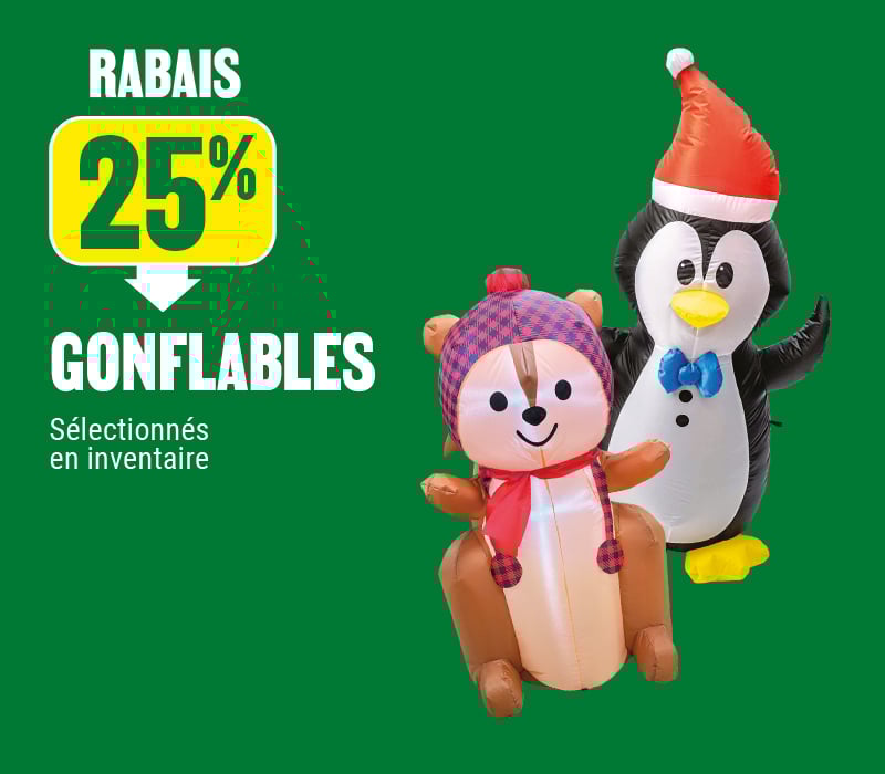 25% de rabais sur les gonflables chez BMR