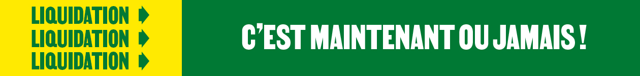 Liquidation - c'est maintenant ou jamais! - BMR