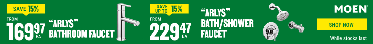 Arlys bathroom and faucet