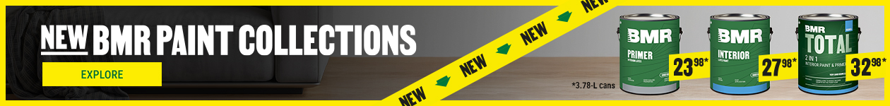 Discover BMR paint - Proven quality at affordable price