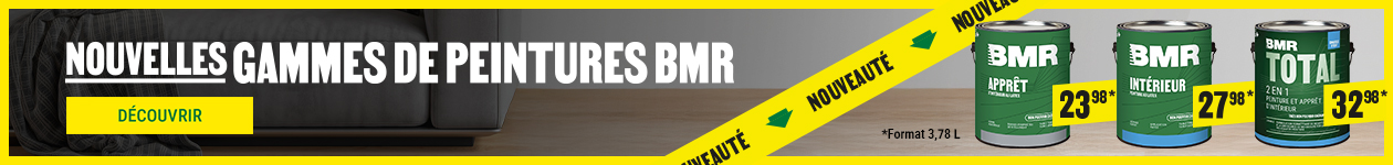 D&eacute;couvrez notre peinture BMR - Qualit&eacute; &eacute;prouv&eacute;e &agrave; prix abordable