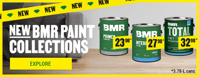 Discover BMR paint - Proven quality at affordable price