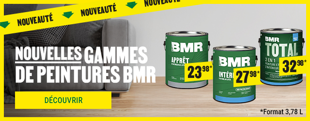 D&eacute;couvrez notre peinture BMR - Qualit&eacute; &eacute;prouv&eacute;e &agrave; prix abordable