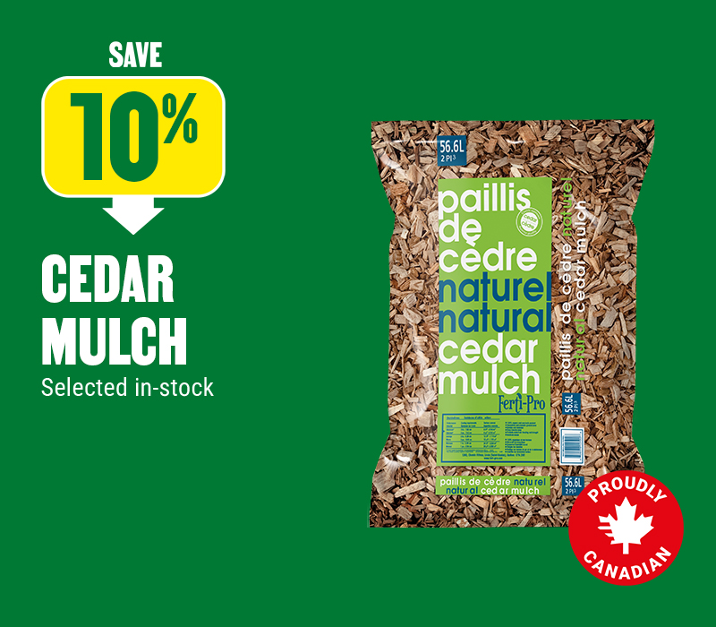 Save 10% on cedar mulch