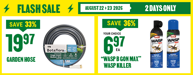 BMR Flash Sale