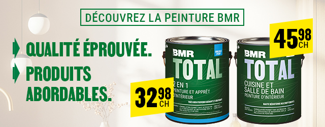 D&eacute;couvrez la peinture BMR