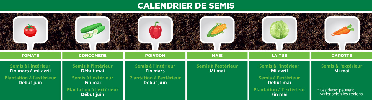 Calendrier de semis BMR