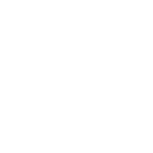 Trouvez des décorations de Noël chez BMR