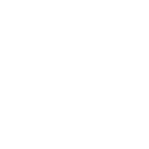 Icône représentant divers matériaux de construction: pierre, gypse, plancher et bois