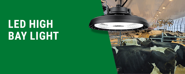 LED high bay light
