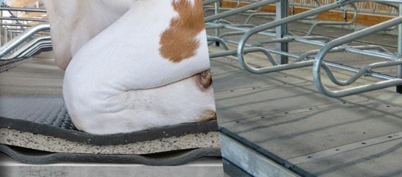 Kraiburg comfort carpets and matresses - Agrizone