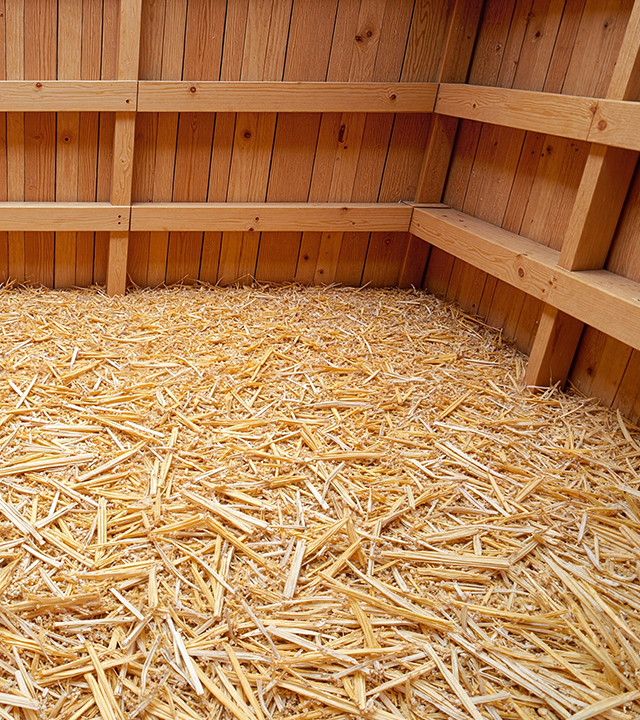 Litière de copeaux de bois dans un poulailler propre pour assurer le confort et l’isolation des poules.