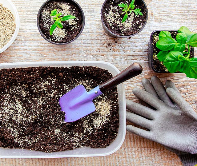 Plus, two potting-soil supplements