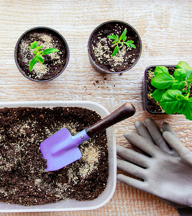 Plus, two potting-soil supplements