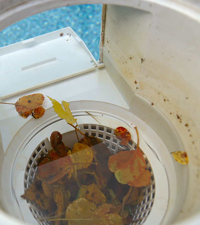Pool filtration basket containing water, fallen leaves, and accumulated debris.