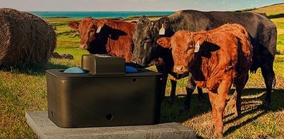 Installing an outdoor drinking trough