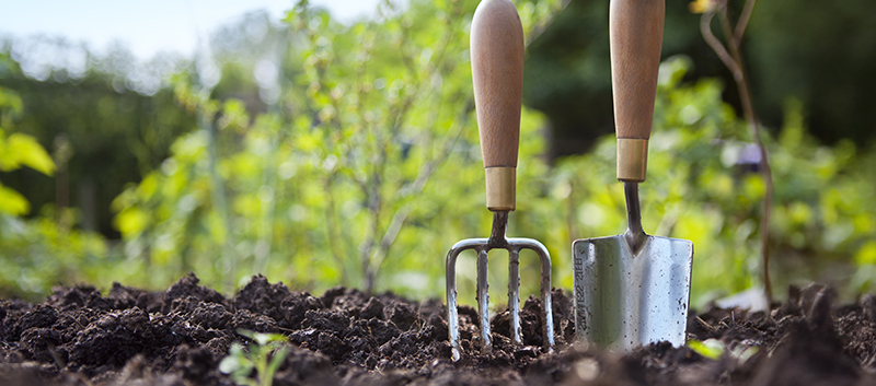 7 outils essentiels pour jardiner à l'extérieur