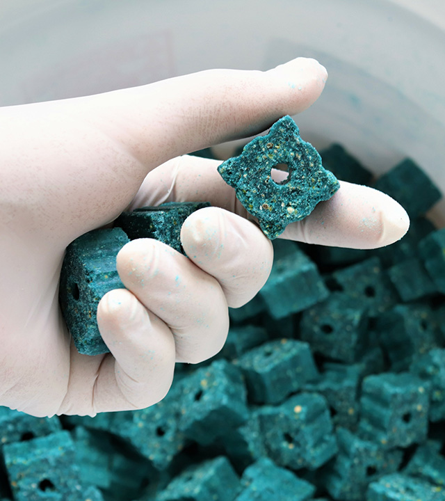 What does rodent control program consist of?