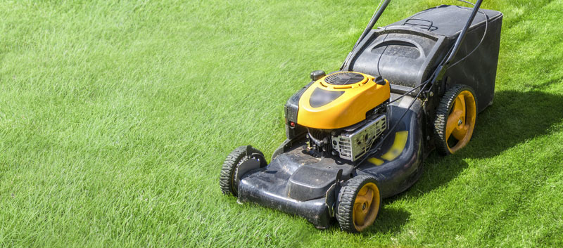 How to choose a good lawn mower? - BMR