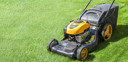 Choosing the right lawn mower : Our top 6 tips