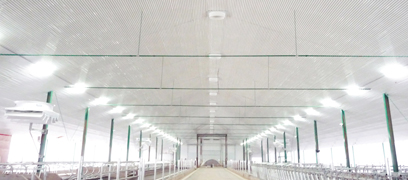 Trusscore interior panelling -  Agrizone