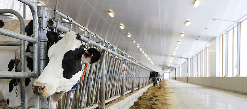 Les rev&ecirc;tements Trusscore - Panneaux muraux et de plafond - Agrizone