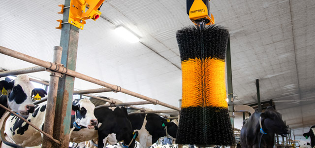 Article - Eddynet cow brushes