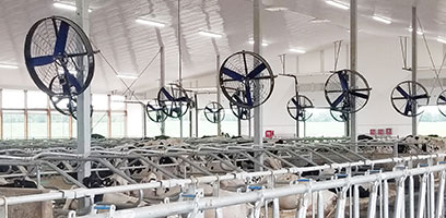 Ventilation for livestock
