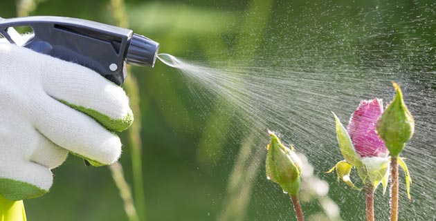 Pesticides et insecticides pour le jardin et la maison