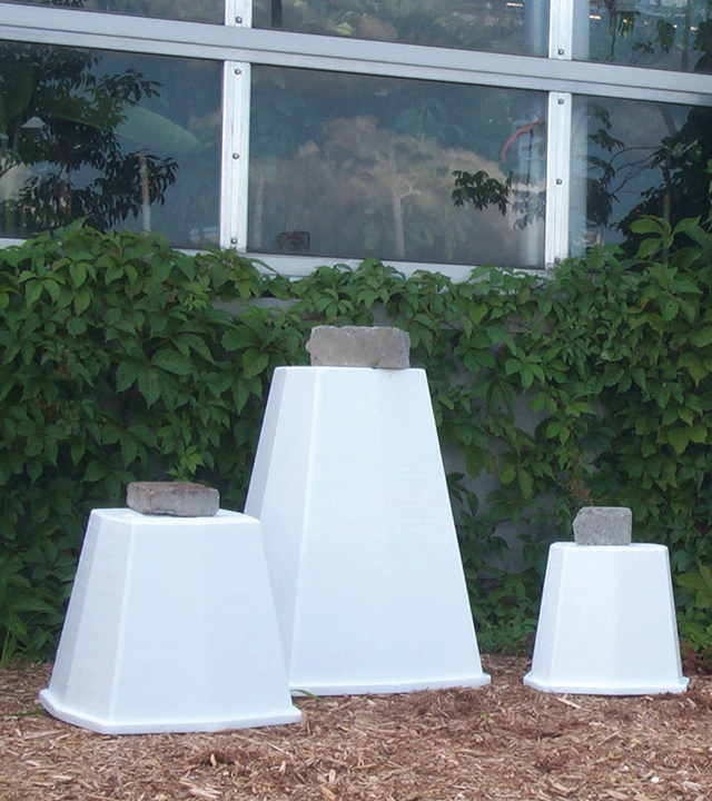 Three polystyrene cones protecting individual plants, each topped with a concrete brick.