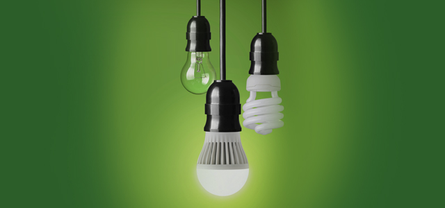 Buying guide: choosing the right bulbs