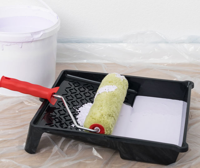Paint roller with its tray