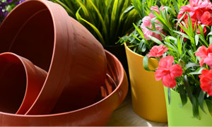 Shop Flower pots