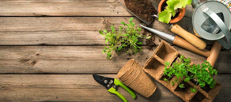 How to prepare your yard for summer