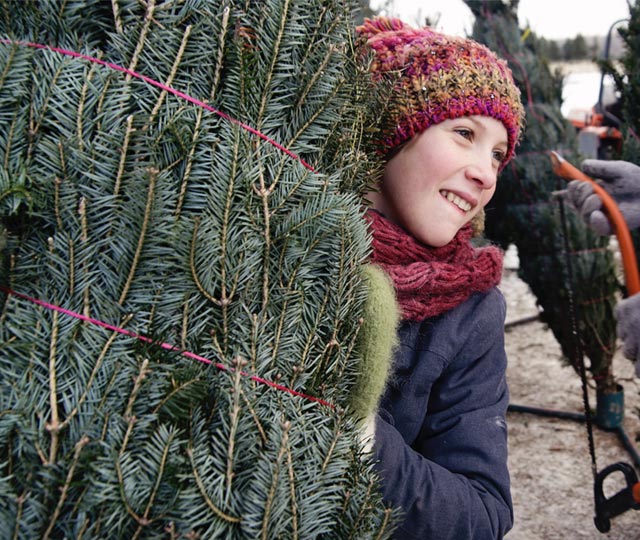 Girl holding a natural Christmas tree