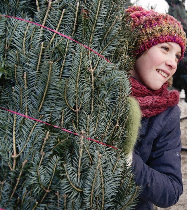 Girl holding a natural Christmas tree