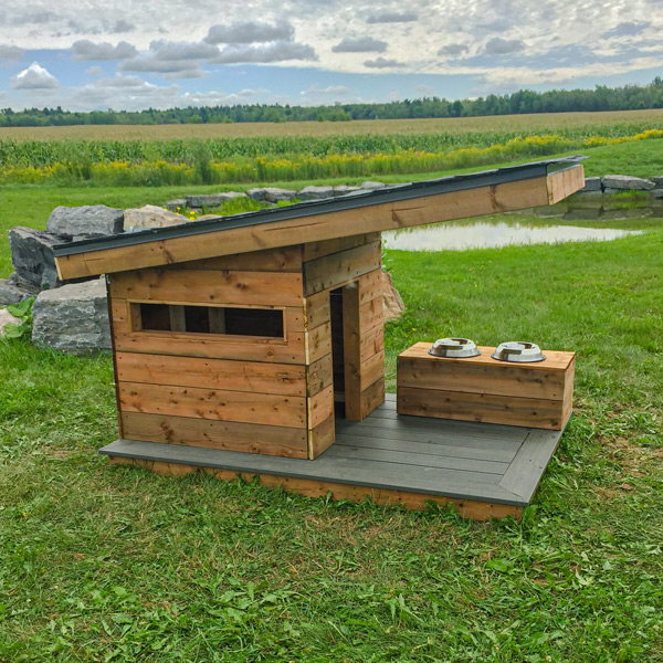 Capsule Bâti comme Hugo - Niche à chien