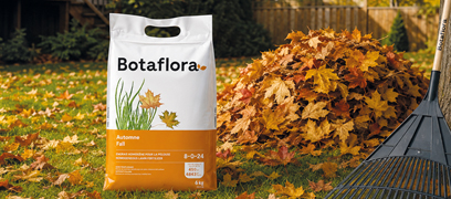 Sac d’engrais d’automne Botaflora pour pelouse, placé près d’un tas de feuilles mortes et d’un râteau sur le gazon.