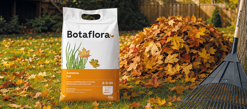 Sac d’engrais d’automne Botaflora pour pelouse, placé près d’un tas de feuilles mortes et d’un râteau sur le gazon.