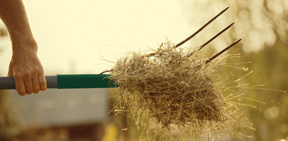 Fourche agricole manipulant du foin sec lors des travaux de fenaison en milieu rural.