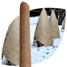 Botaflora jute roll in front of an image of conifers protected from snow with burlap.