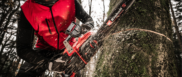 Einhell chainsaw for cutting a tree