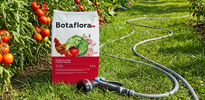 Sac d&rsquo;engrais Botaflora pour potager pos&eacute; sur la pelouse, pr&egrave;s de plants de tomates rouges, avec un boyau d&rsquo;arrosage d&eacute;roul&eacute; &agrave; c&ocirc;t&eacute;.