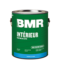 Discover our new BMR Paint!