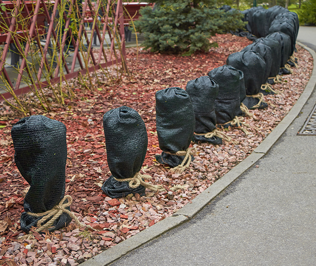 Several plants wrapped under a tarp and tied with a rope.