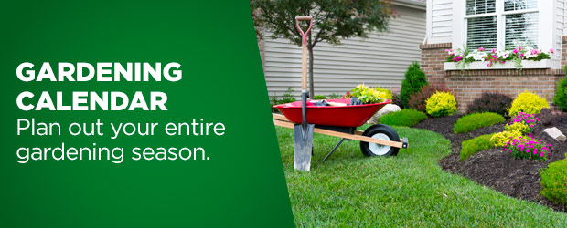 Browse our gardening calendar to plan out your entire season.