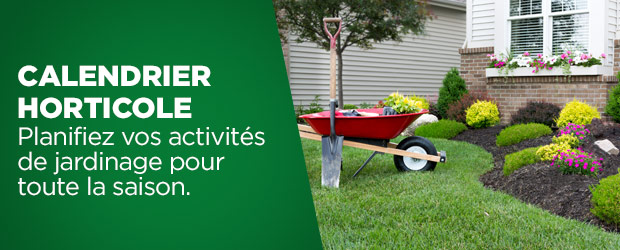 Consultez notre calendrier horticole pour planifier vos activités de jardinage